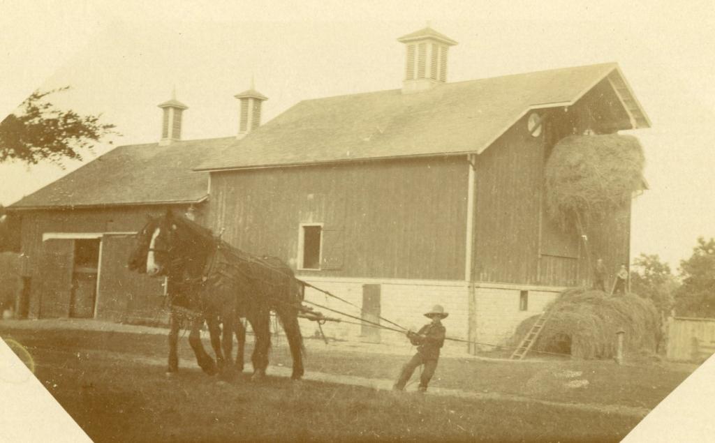 Team of horses loading hayloft, late nineteenth century