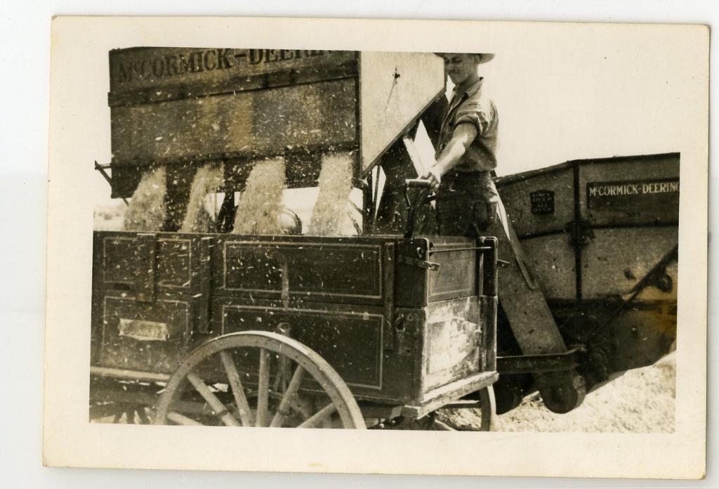 Unloading grain on a Naperville farm, 1930s